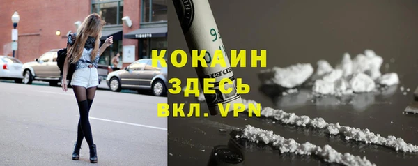 не бодяженный Алексин