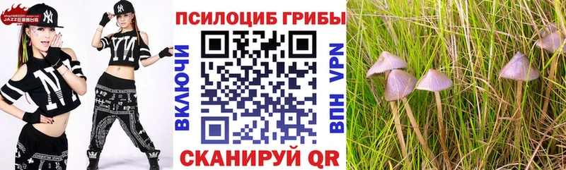 Псилоцибиновые грибы MAGIC MUSHROOMS  хочу   Чусовой 
